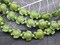 18x14x8mm Dyed Green Synthetic Turquoise Turtle Beads - 15" Strand